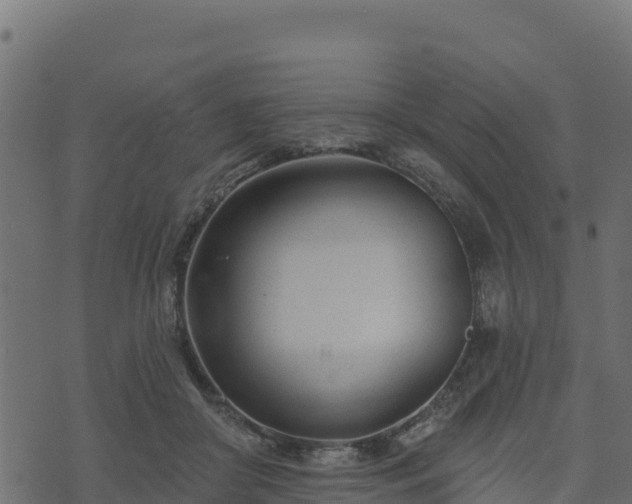 X0000073930410200608181119