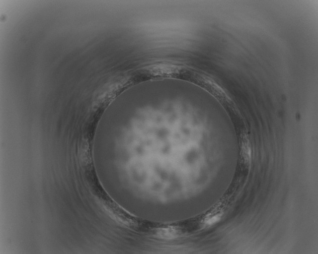 X0000073930411200608181119