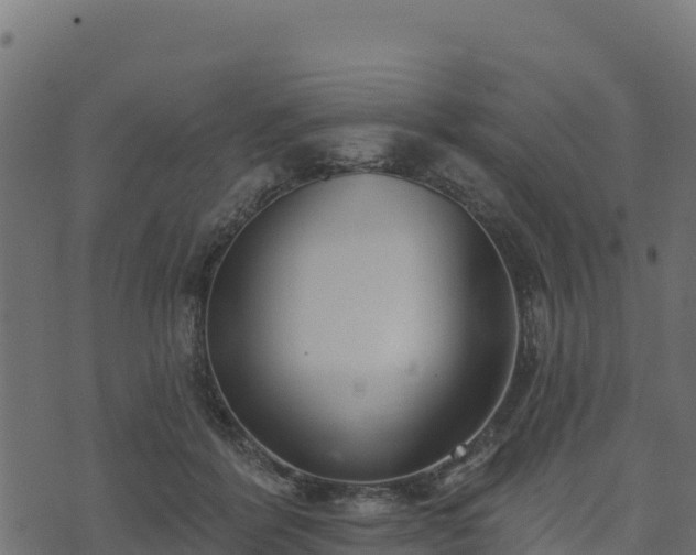 X0000073930412200608181119