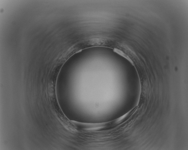 X0000073930413200608181119