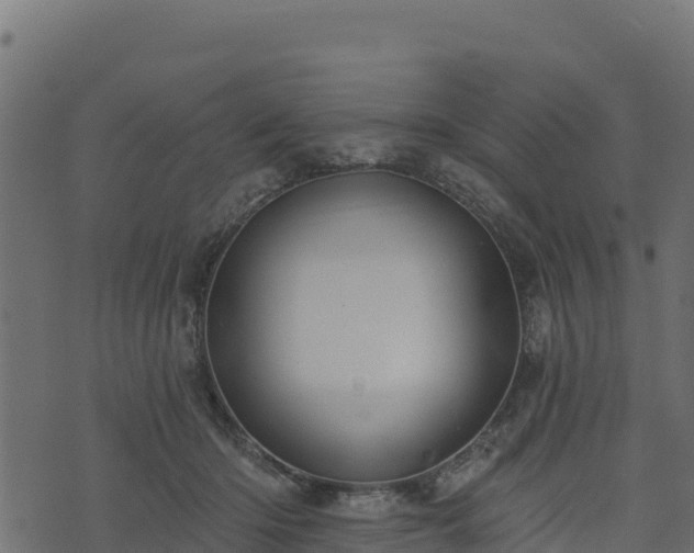 X0000073930414200608181119