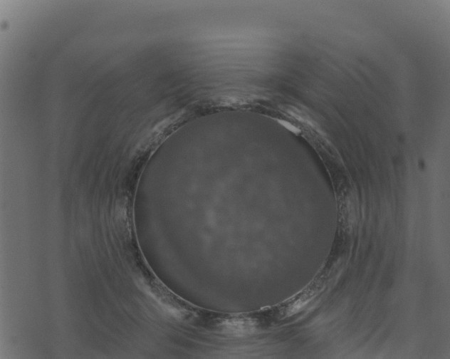 X0000073930415200608181119