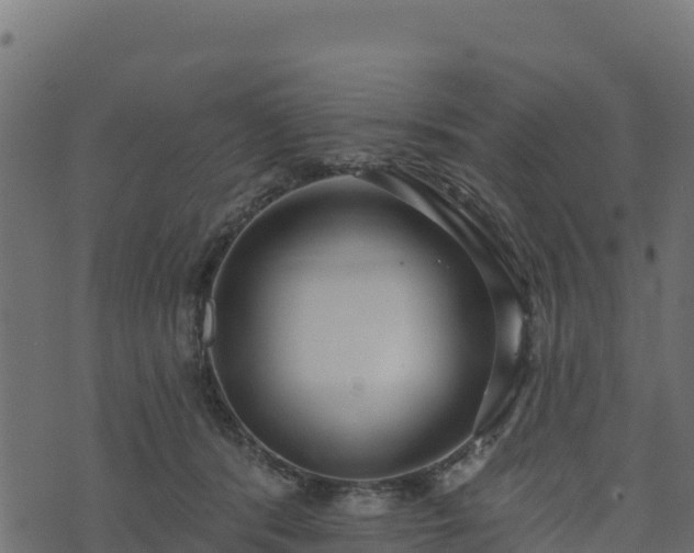 X0000073930416200608181119