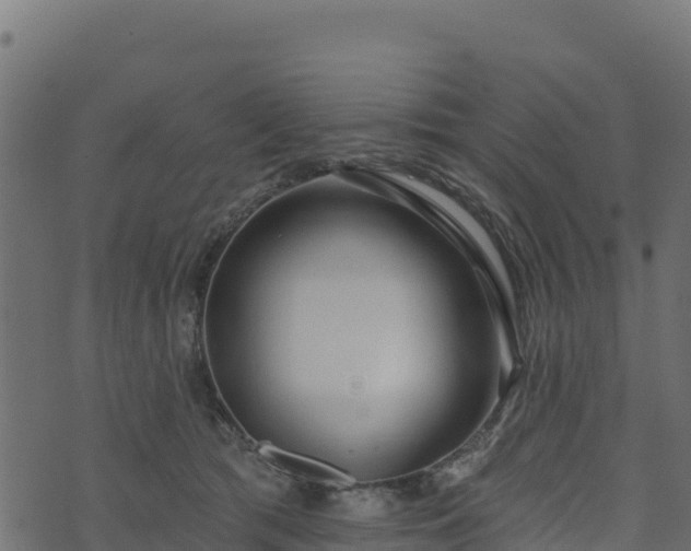 X0000073930417200608181119