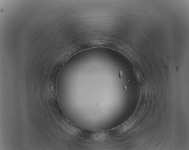 X0000073930418200608181119