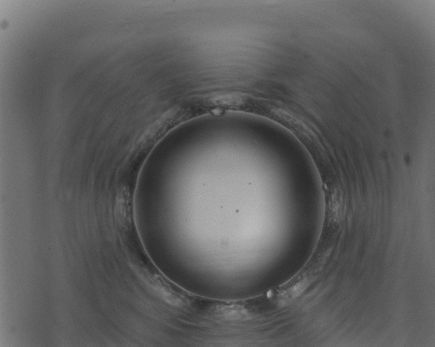 X0000073930424200608181119