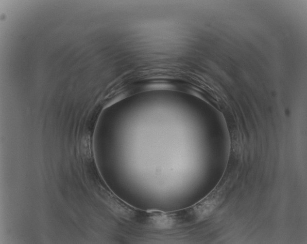 X0000073930425200608181119