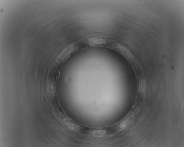 X0000073930426200608181119