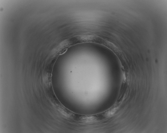 X0000073930428200608181119