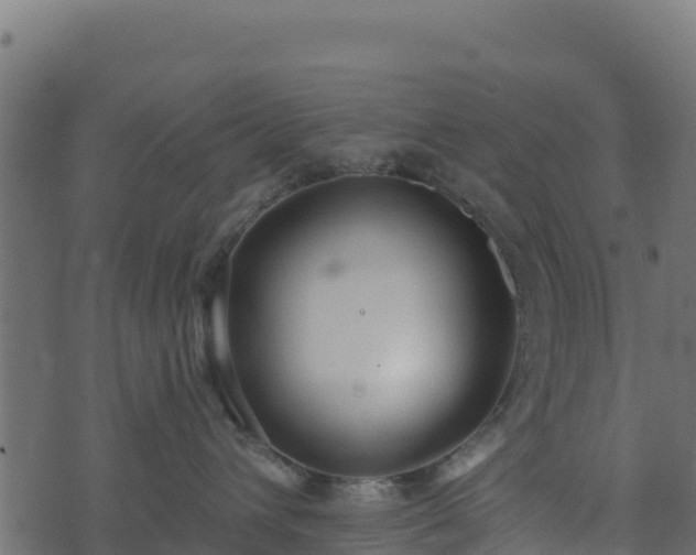 X0000073930432200608181119