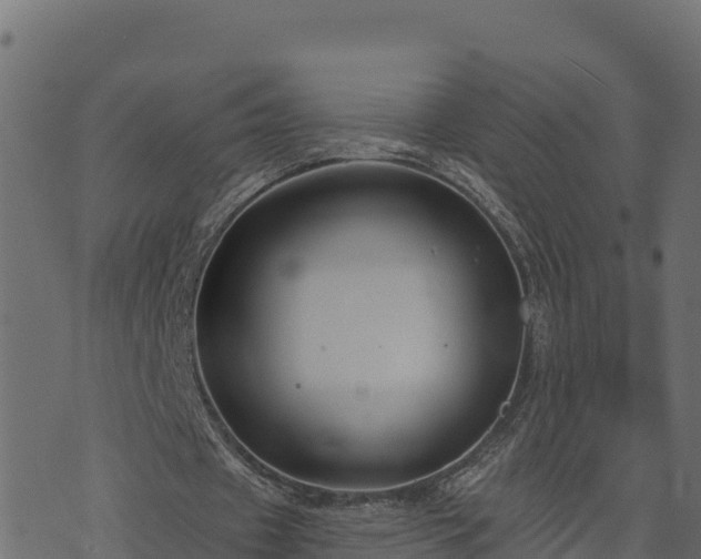 X0000073930433200608181118