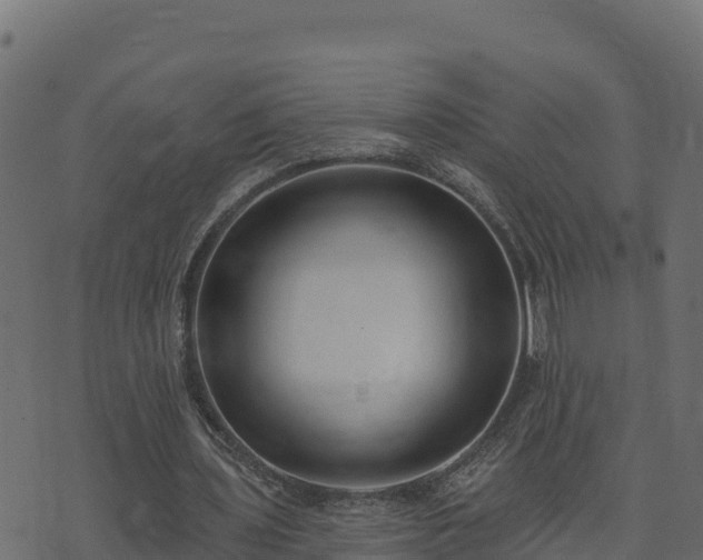 X0000073930435200608181118