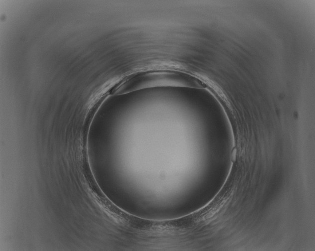 X0000073930437200608181118