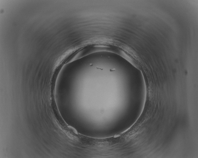 X0000073930438200608181118