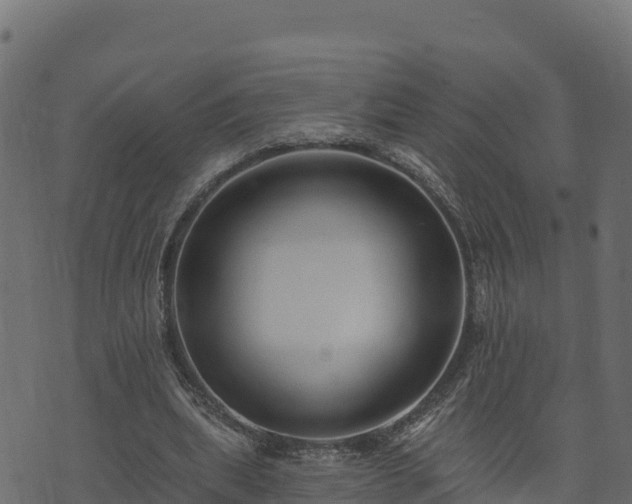 X0000073930439200608181118