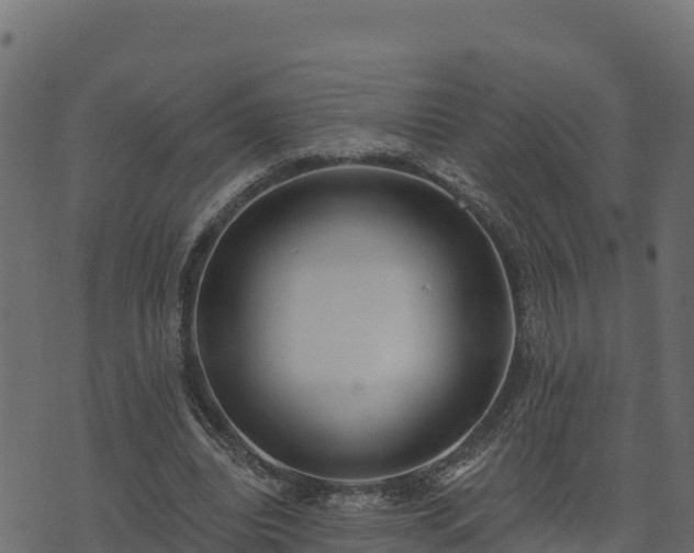 X0000073930440200608181118