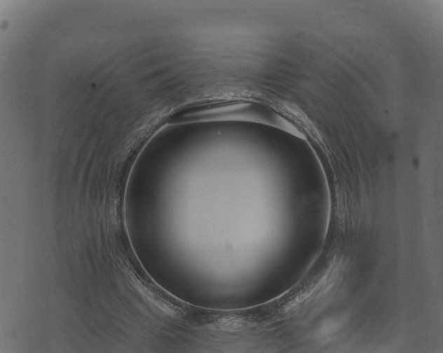 X0000073930441200608181118