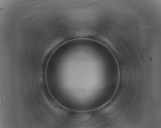 X0000073930443200608181118