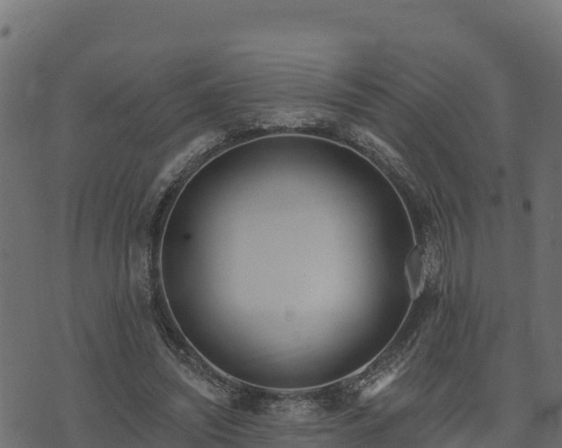 X0000073930444200608181118