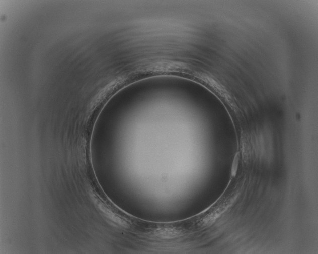 X0000073930445200608181118