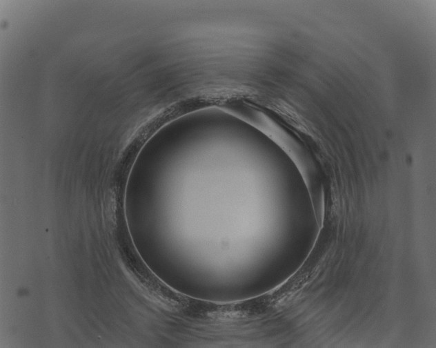 X0000073930448200608181118