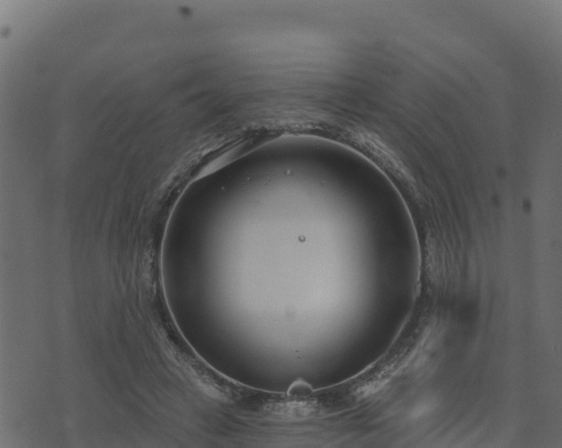 X0000073930449200608181118