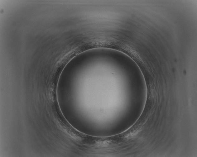 X0000073930450200608181118