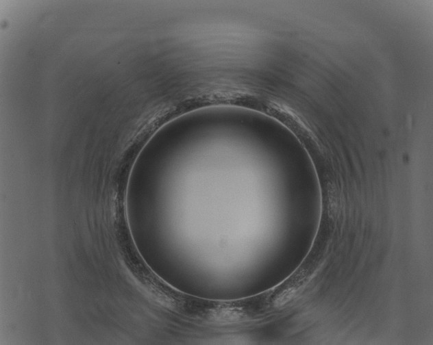 X0000073930451200608181118