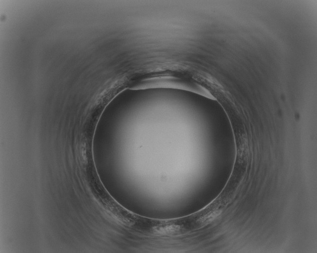 X0000073930452200608181118