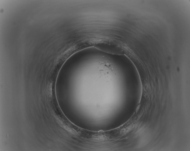 X0000073930454200608181119