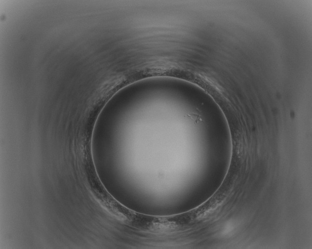 X0000073930455200608181119