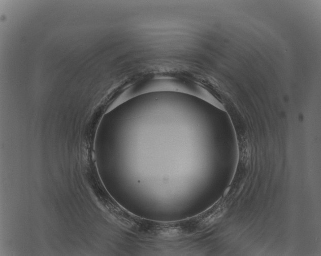 X0000073930456200608181119