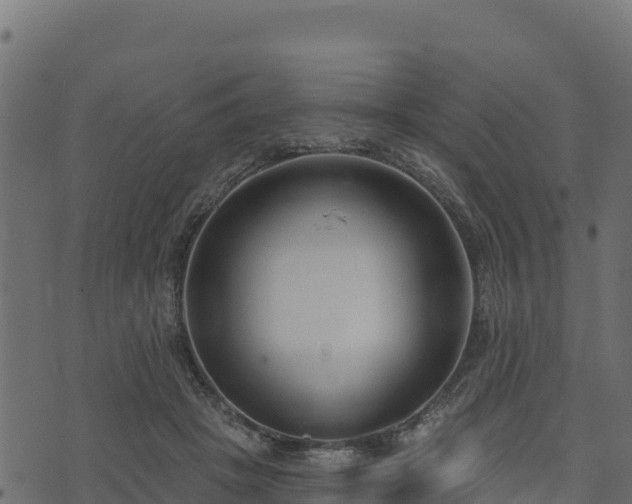 X0000073930457200608181119