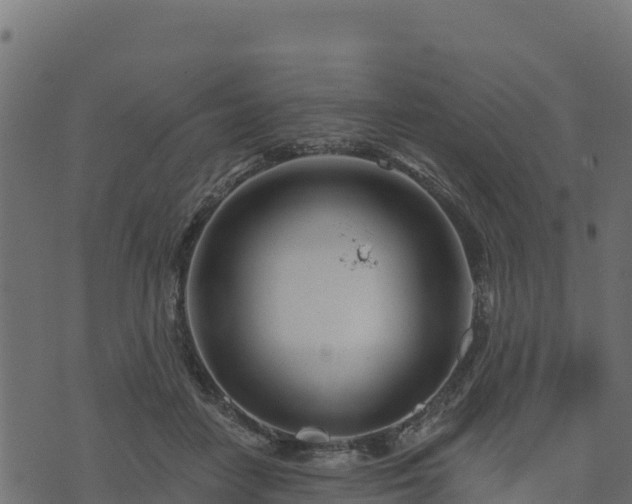 X0000073930458200608181119