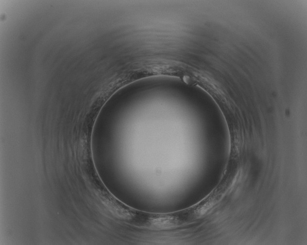 X0000073930461200608181119