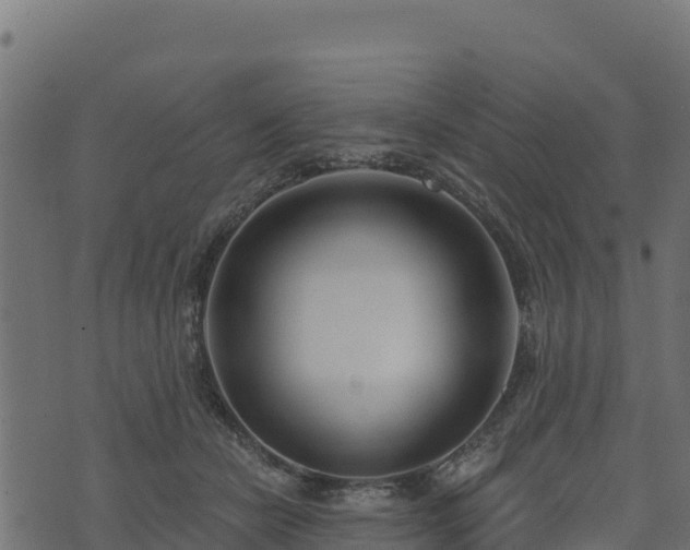 X0000073930462200608181119