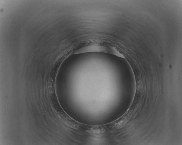 X0000073930464200608181119