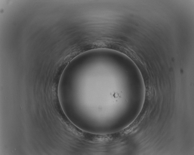 X0000073930466200608181119