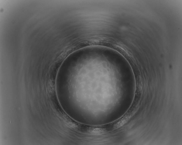 X0000073930467200608181119