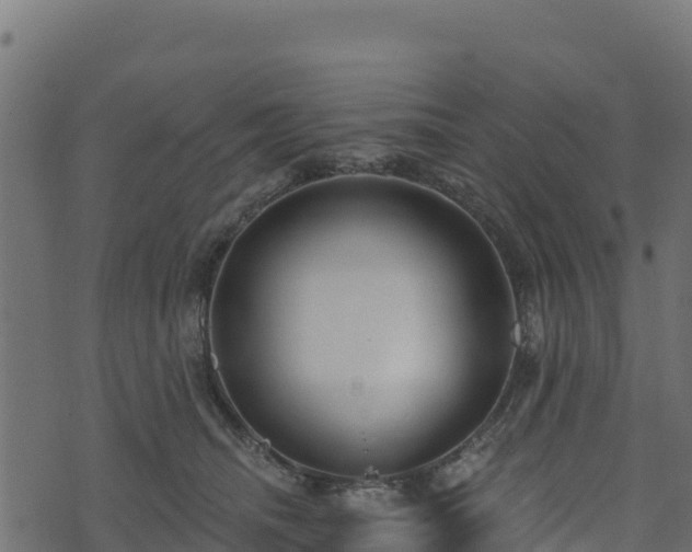 X0000073930468200608181119