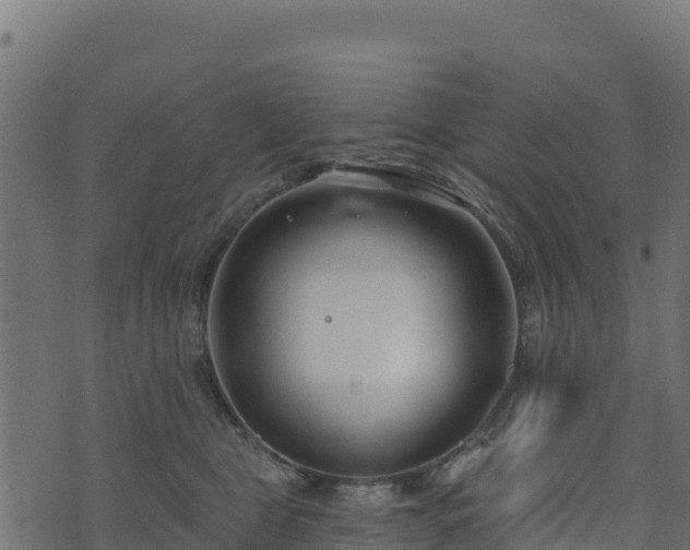 X0000073930469200608181119