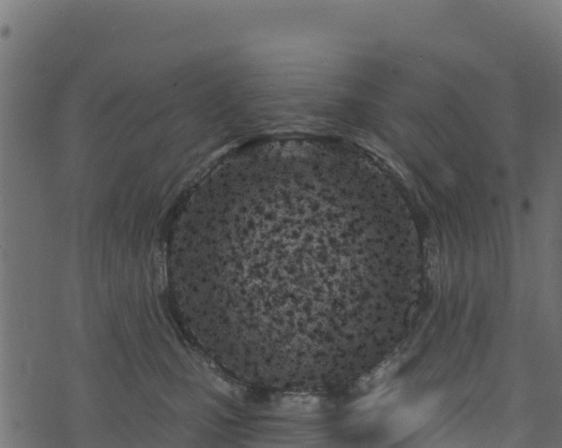 X0000073930471200608181119