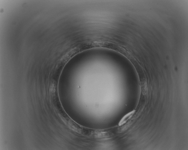 X0000073930472200608181119