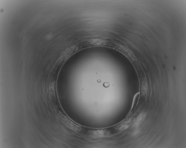 X0000073930473200608181119