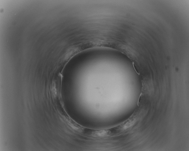 X0000073930479200608181119