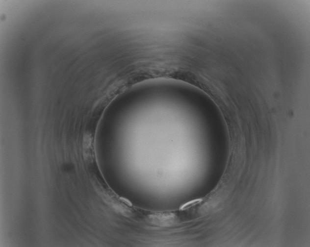 X0000073930480200608181119