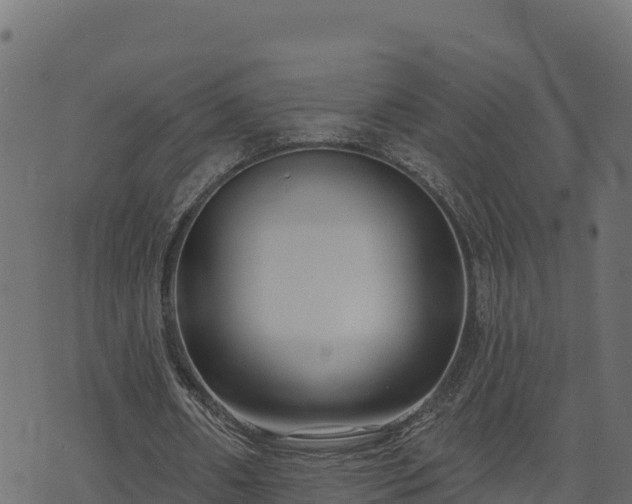 X0000073930482200608181118