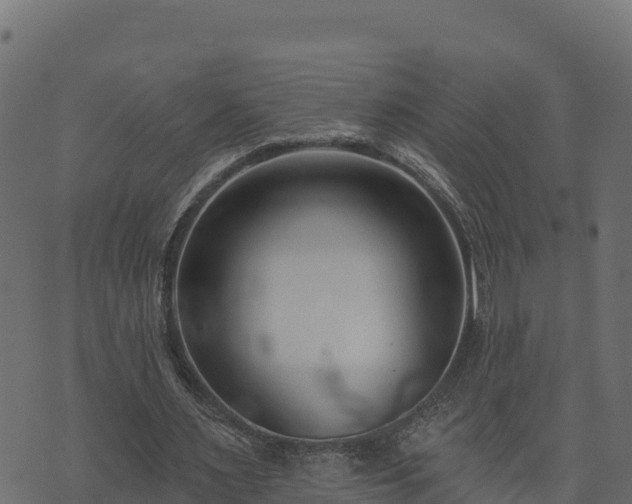 X0000073930483200608181118