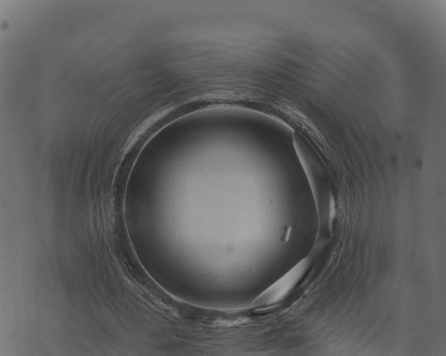 X0000073930484200608181118