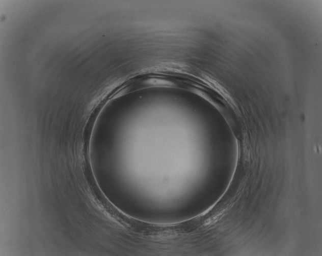 X0000073930485200608181118